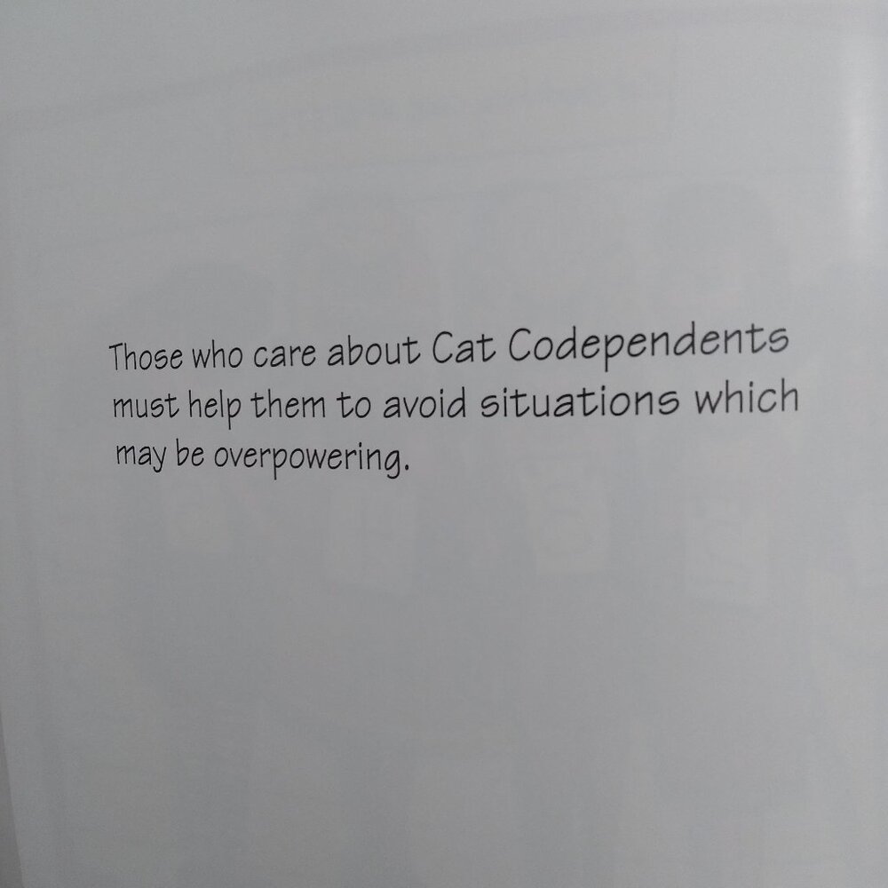 Cat Codependent Handbook - Picture 5 of 7
